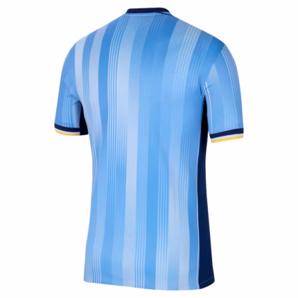 Tottenham Hotspur Away Back side Shirt 2024-2